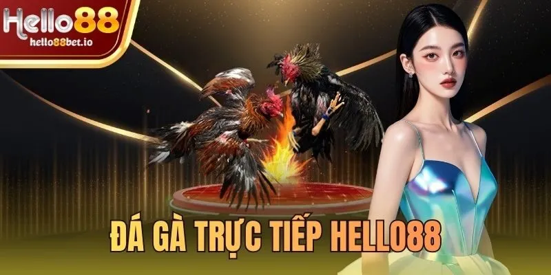 đá gà trực tiếp Hello88