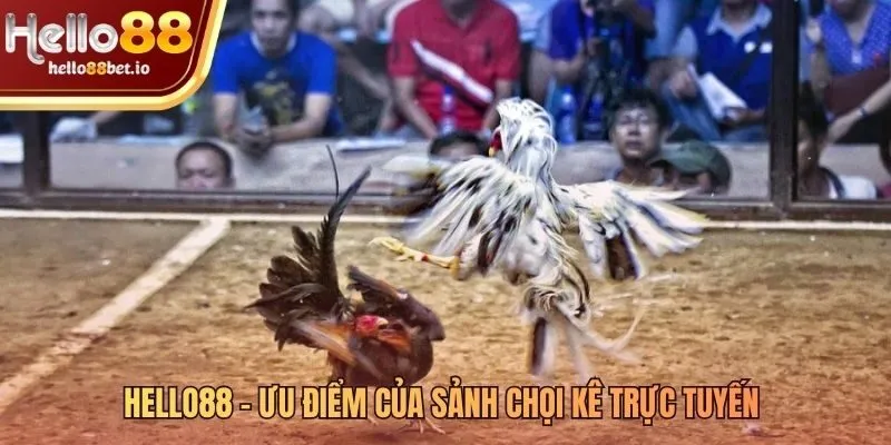 Các ưu điểm khi dùng link xem đá gà Hello88 để giải trí