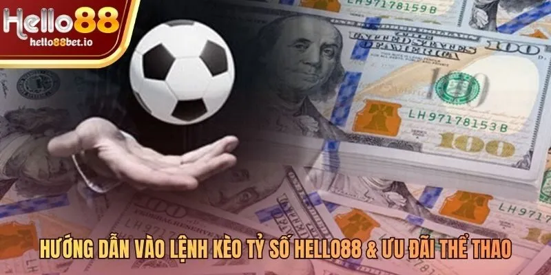 Quy trình tham gia đơn giản cùng nhiều ưu đãi thể thao giá trị