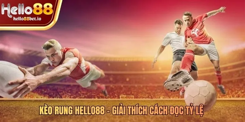 Đọc tỷ lệ kèo rung Hello88 qua ký hiệu và ví dụ trực quan