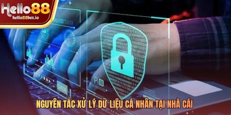 Nguyên tắc xử lý dữ liệu nền tảng của chính sách bảo mật
