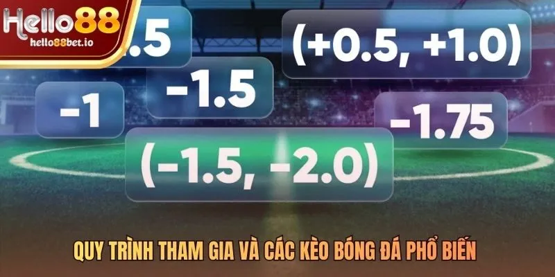 Các kèo bóng đá trực tiếp Hello88 và quy trình tham gia